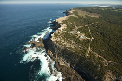 Cape Nelson State Park - Accommodation Adelaide 1