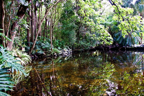 Cascade Gardens - Accommodation Adelaide 2