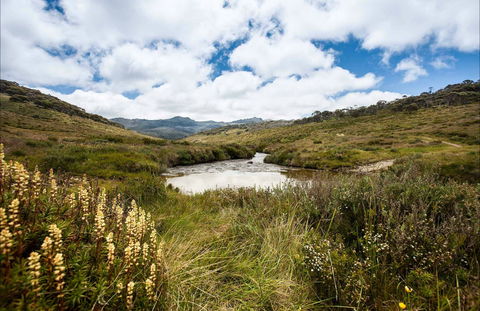 Cascade Hut Trail - Accommodation Adelaide 0