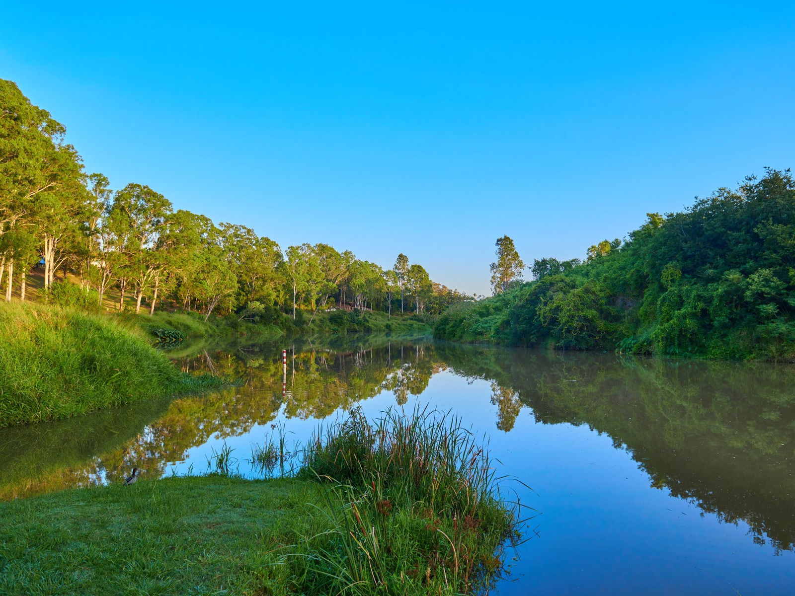Bardon QLD Accommodation Adelaide