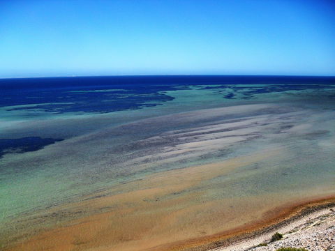Eagle Bluff - Accommodation Adelaide 2