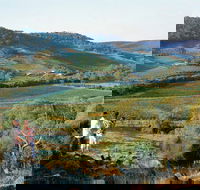 Farm Flavour Trail Chittering Valley - Accommodation Adelaide