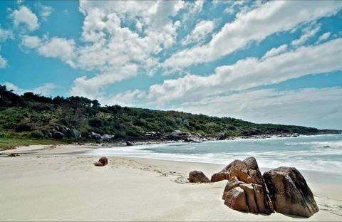 Fishermans Bay Foreshore - Accommodation Adelaide 0