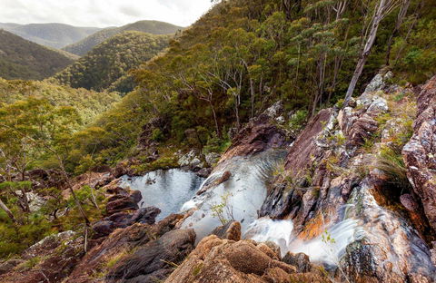 Gibraltar Range National Park - Accommodation Adelaide 0