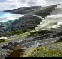 Great Ocean Road - Accommodation Adelaide