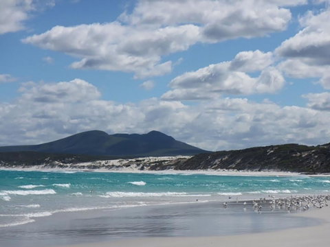 Hakea Walk Trail, East Fitzgerald National Park - Accommodation Adelaide 0