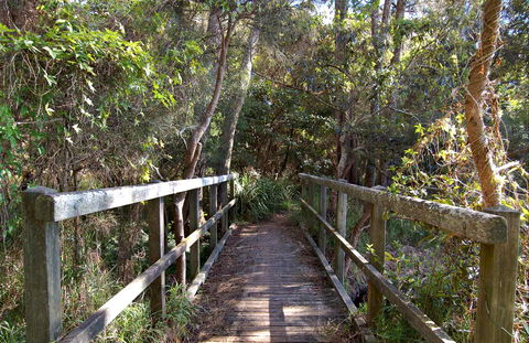 Lake Macquarie State Conservation Area - Accommodation Adelaide 1