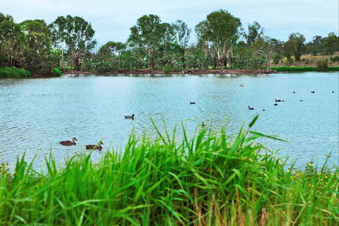 Lake Apex Park - Accommodation Adelaide 1