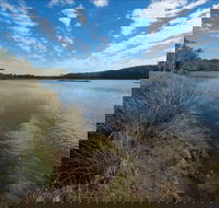 Lake Innes Nature Reserve - Accommodation Adelaide
