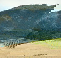 Langi Ghiran State Park - Accommodation Adelaide