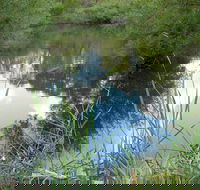 Mullion Range State Conservation Area - Accommodation Adelaide