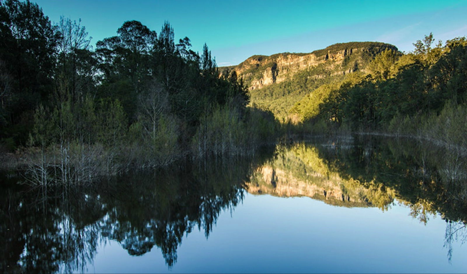 Wattle Ridge NSW Accommodation Adelaide
