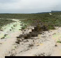 Ngarkat Conservation Park - Accommodation Adelaide
