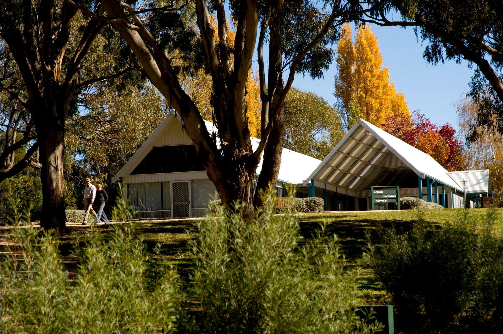 Orange NSW Accommodation Adelaide
