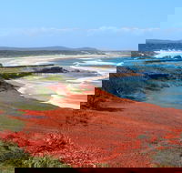 Red Cliff - Accommodation Adelaide