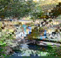 Rockhampton Botanic Gardens - Accommodation Adelaide
