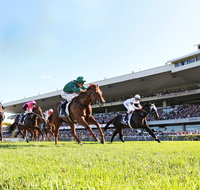 Rosehill Gardens Racecourse - Accommodation Adelaide