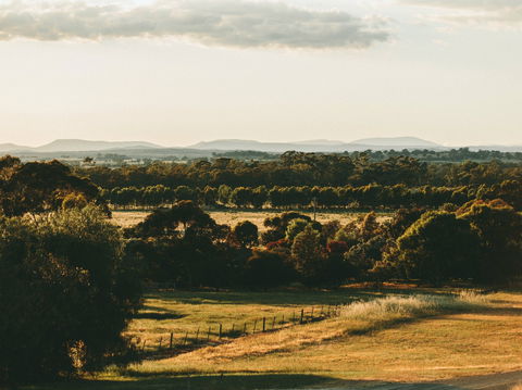 Rutherglen Wine Bottle - Accommodation Adelaide 2