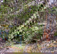 Sawpit Walking Track - Accommodation Adelaide