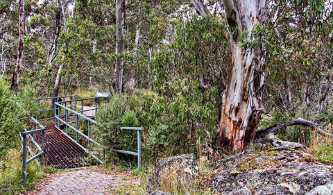 Sawpit Walking Track - Accommodation Adelaide 0