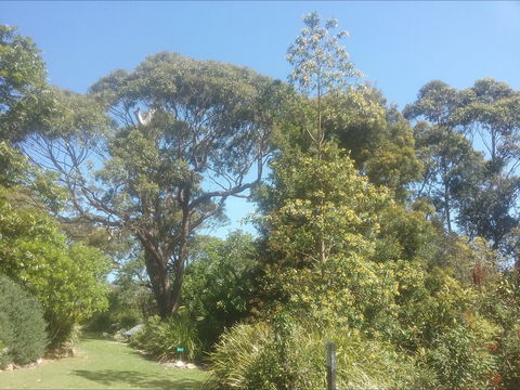 Shoalhaven Heads Native Botanic Garden - Accommodation Adelaide 1