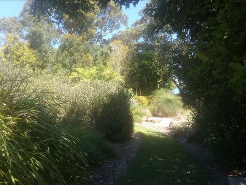 Shoalhaven Heads Native Botanic Garden - Accommodation Adelaide 2