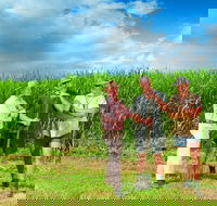 The Shed Gallery - Accommodation Adelaide