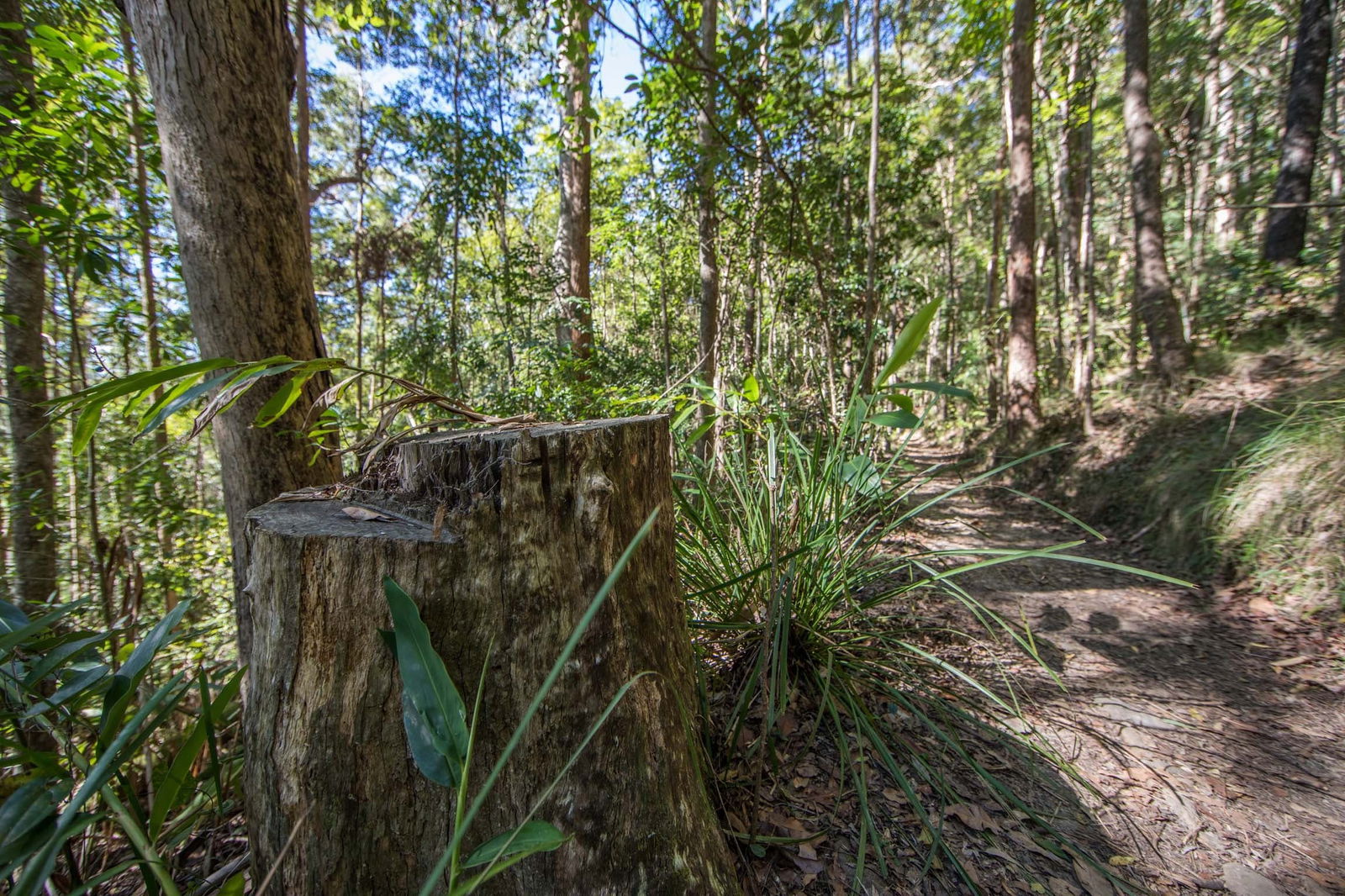 Mount Nebo QLD Accommodation Adelaide