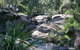 Towarri National Park - thumb 0