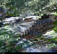 Towarri National Park - Accommodation Adelaide