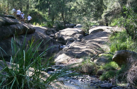 Towarri National Park - Accommodation Adelaide 0
