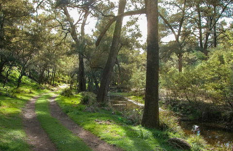 Turon National Park - Accommodation Adelaide 0