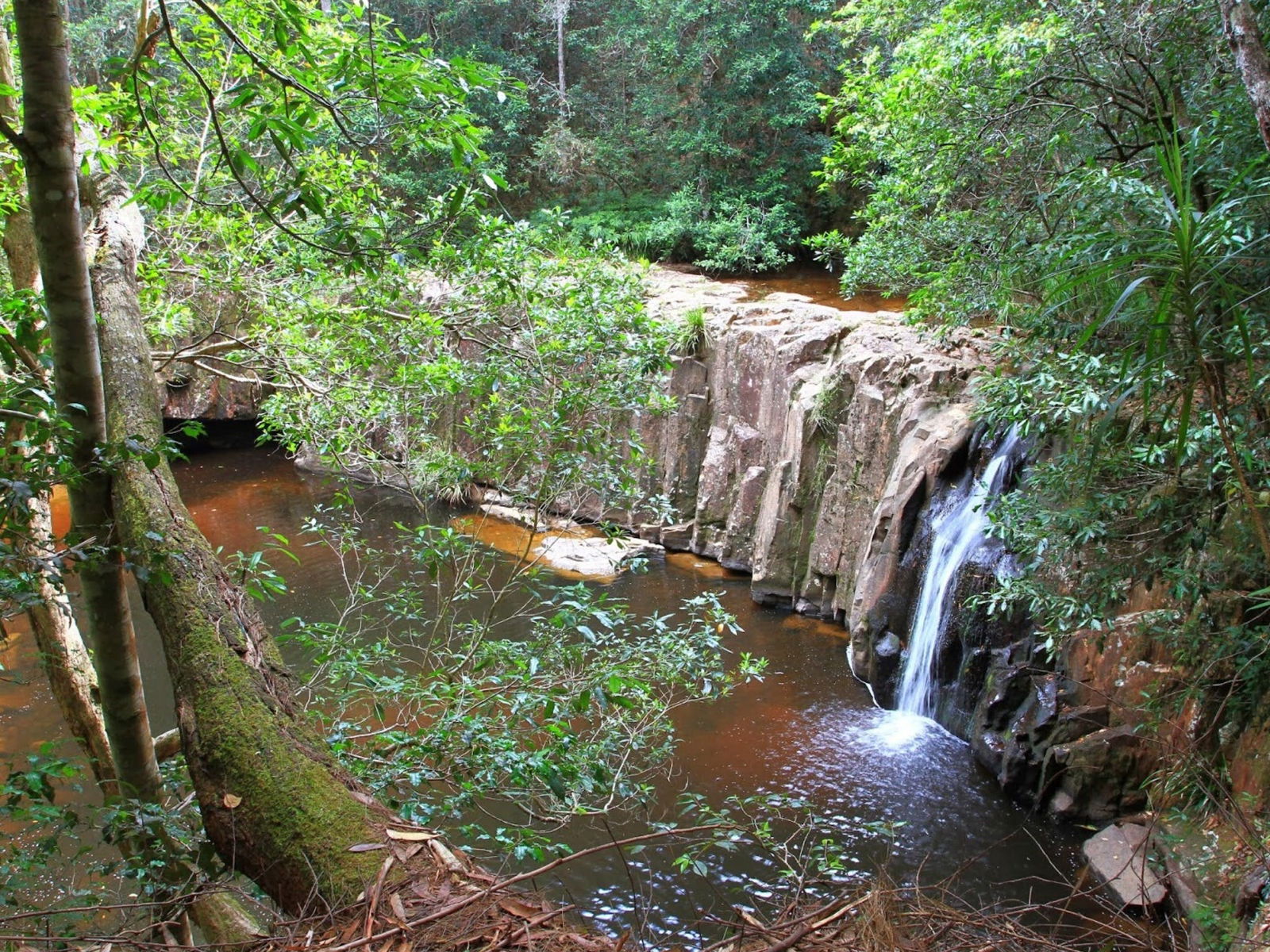 Waitui NSW Accommodation Adelaide