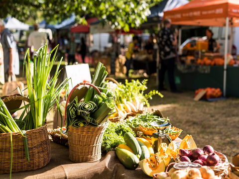 Warragul Farmers Market - Accommodation Adelaide 1