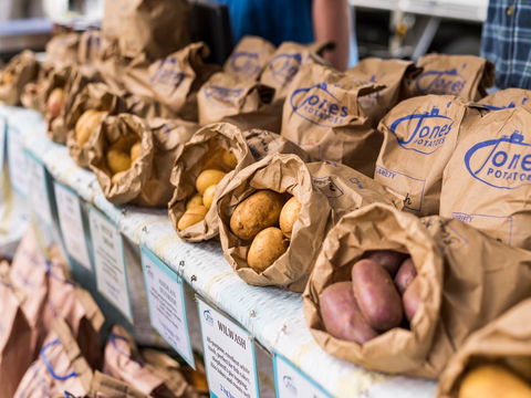 Warragul Farmers Market - Accommodation Adelaide 2