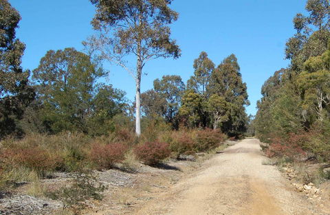 Werakata National Park - Accommodation Adelaide 0