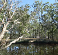 Wongi State Forest - Accommodation Adelaide