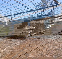 Aboriginal Carvings - Accommodation Adelaide