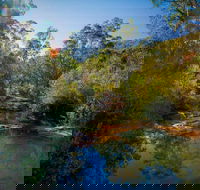 Bargo State Conservation Area - Accommodation Adelaide