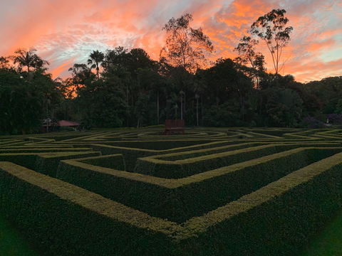 Bellingham Maze - Accommodation Adelaide 0
