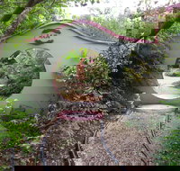 Black Dragon Gardens Wulong Yuan - Accommodation Adelaide