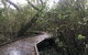 Carole Green Walkway - John Oxley Reserve - thumb 0