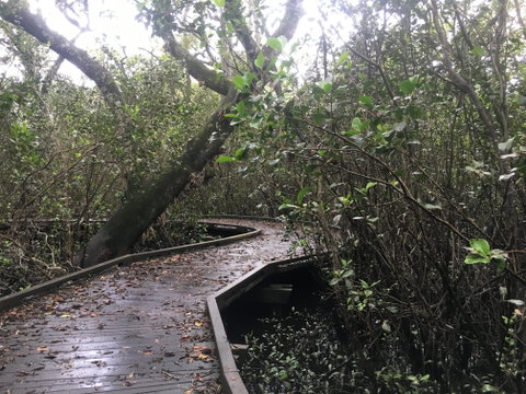 Carole Green Walkway - John Oxley Reserve - Accommodation Adelaide 0