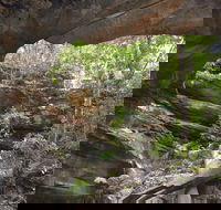 Cave Creek Walking Track - Accommodation Adelaide