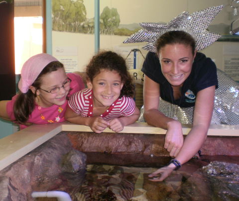 Central Coast Marine Discovery Centre - Accommodation Adelaide 0