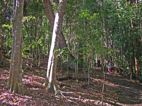 Cooyar - Accommodation Adelaide 1