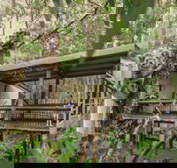 Daisy Hill Koala Centre - Accommodation Adelaide