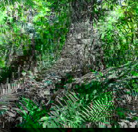 Djiru National Park - Accommodation Adelaide