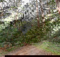 End Peak walking track - Accommodation Adelaide
