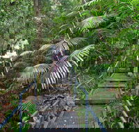 Falls walking track - Accommodation Adelaide